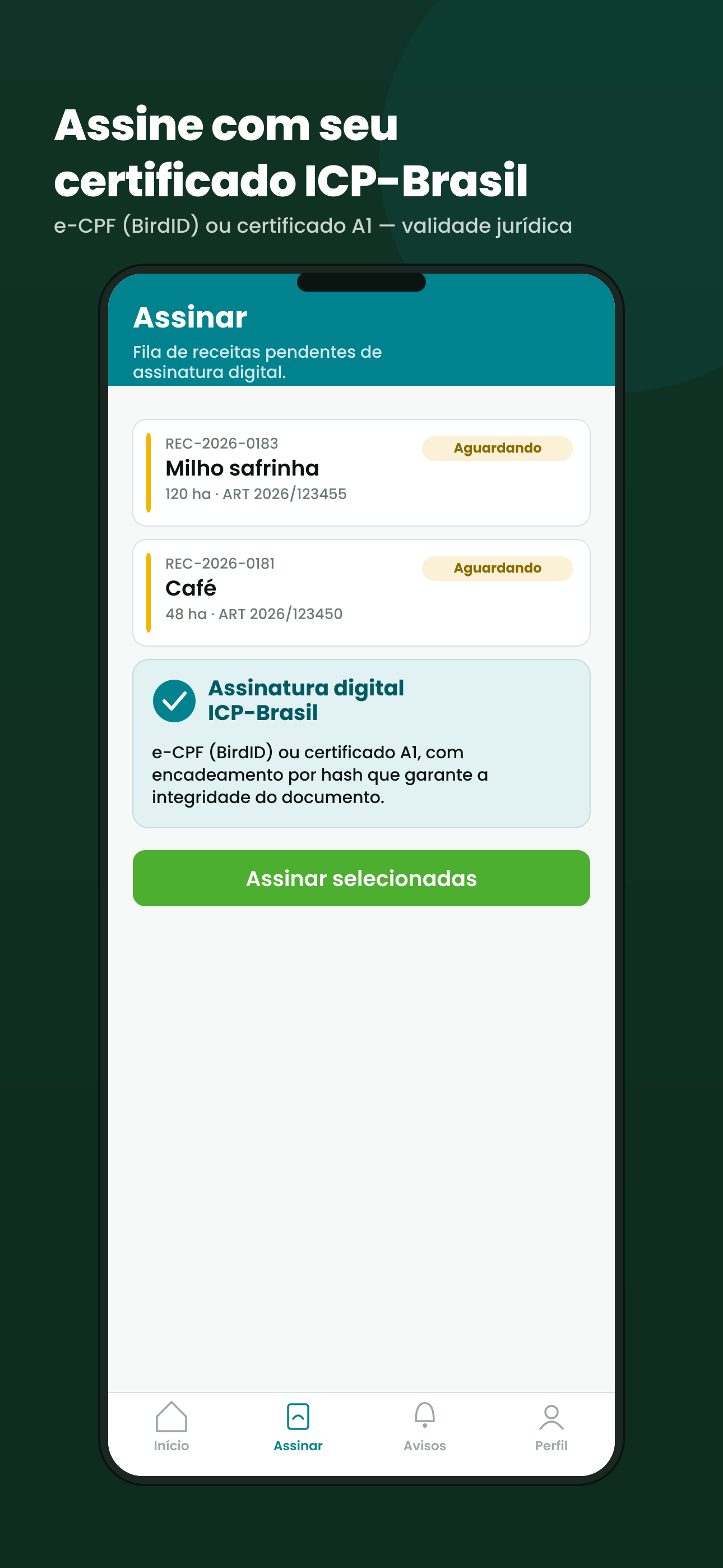 Tela de assinatura do app Rumo Receituário